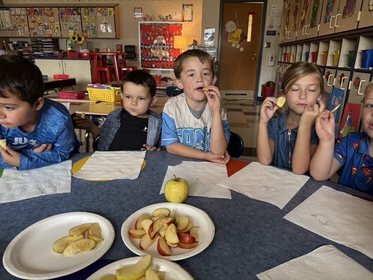 taste testing apples