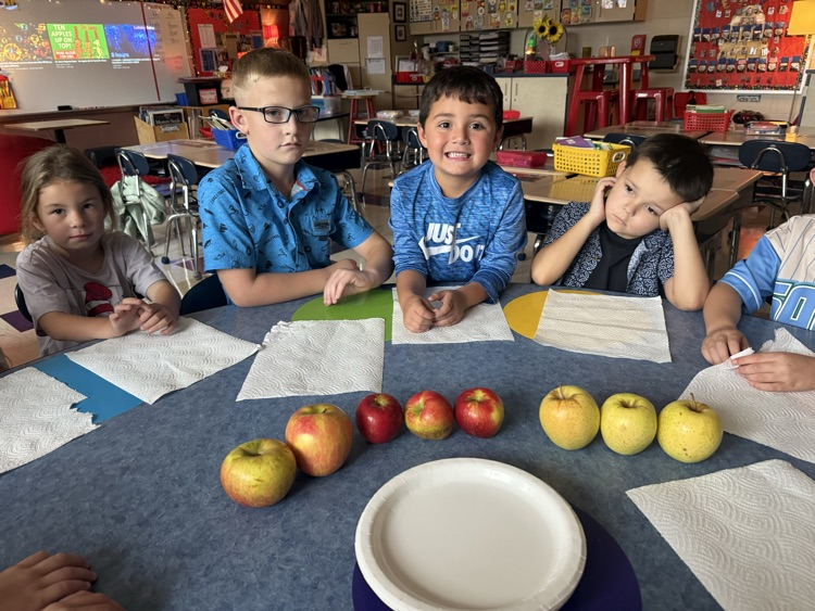 taste testing apples