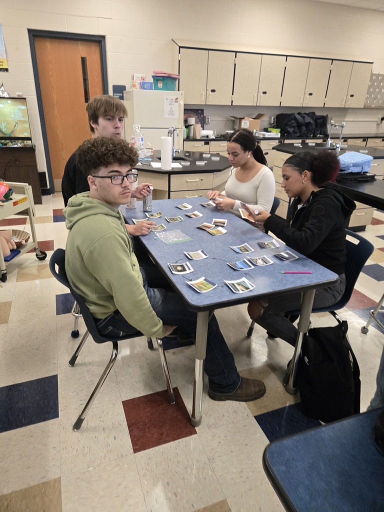 group of student using cards to create food webs