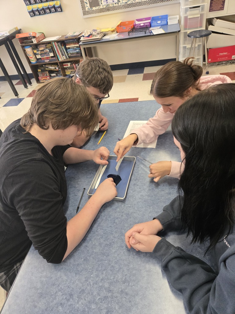 students measuring agar cells