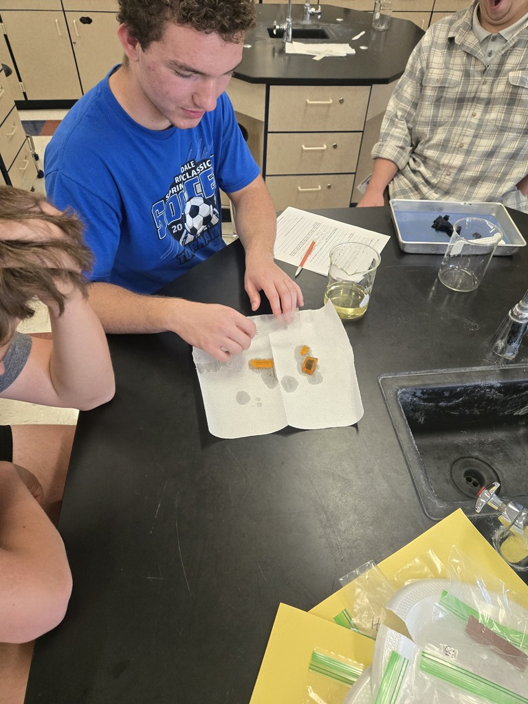 students examining how much diffusion occurred in their different size cells