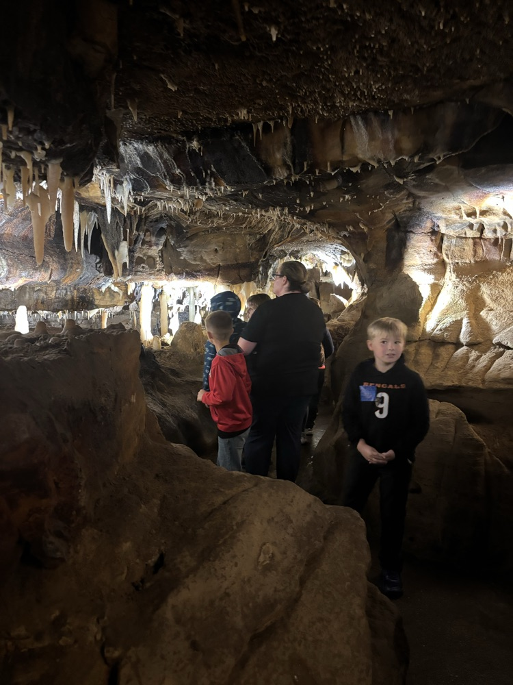 a group of students learning about the cavern