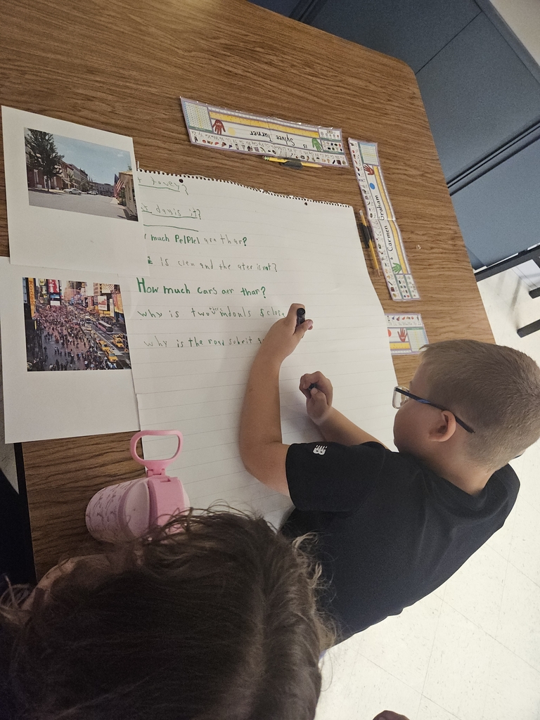 social studies