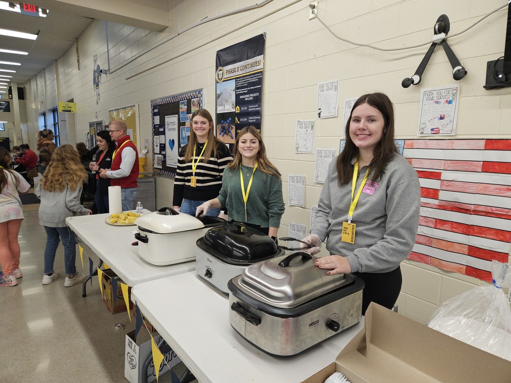 high school volunteers