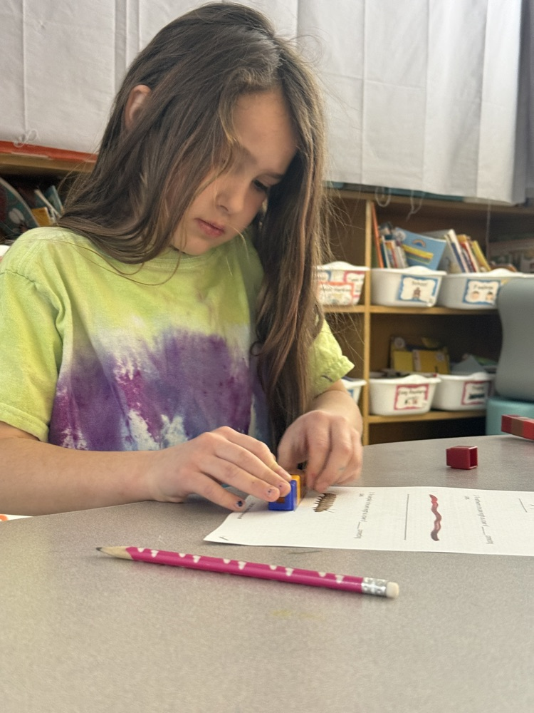 1st Grade Measurement 