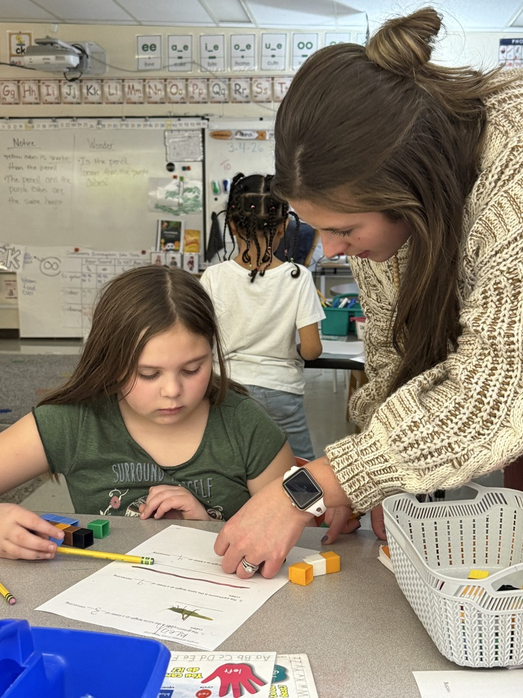 1st Grade Measurement 