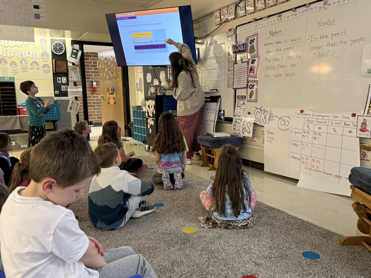 1st Grade Measurement 