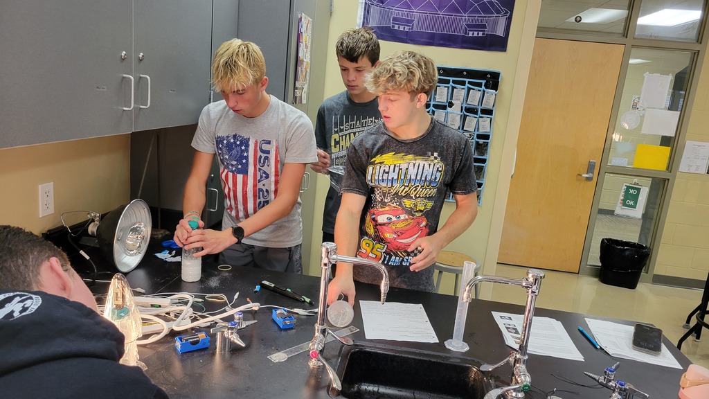 lab