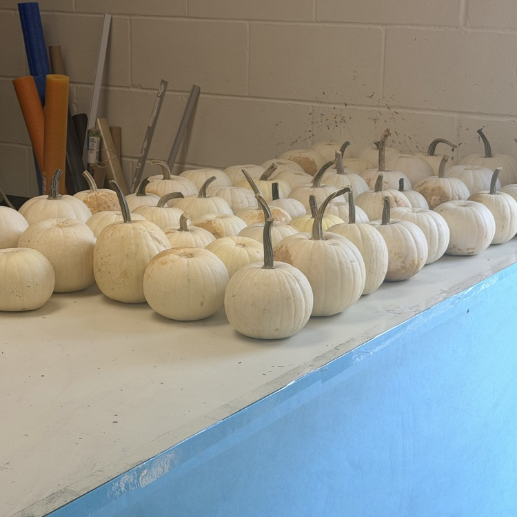 Pumpkins