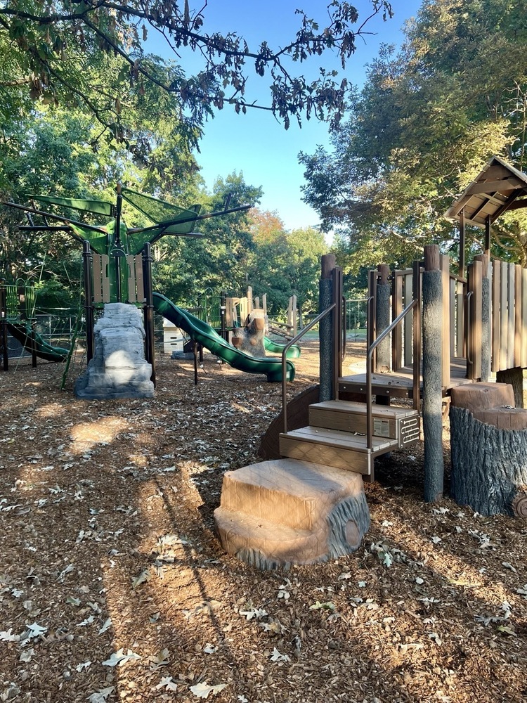 blythe playrground