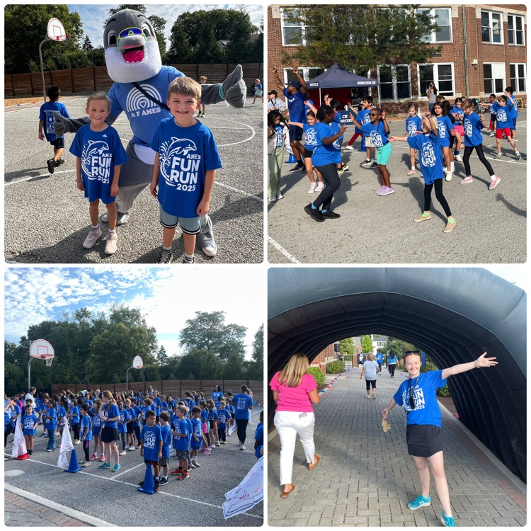 fun run
