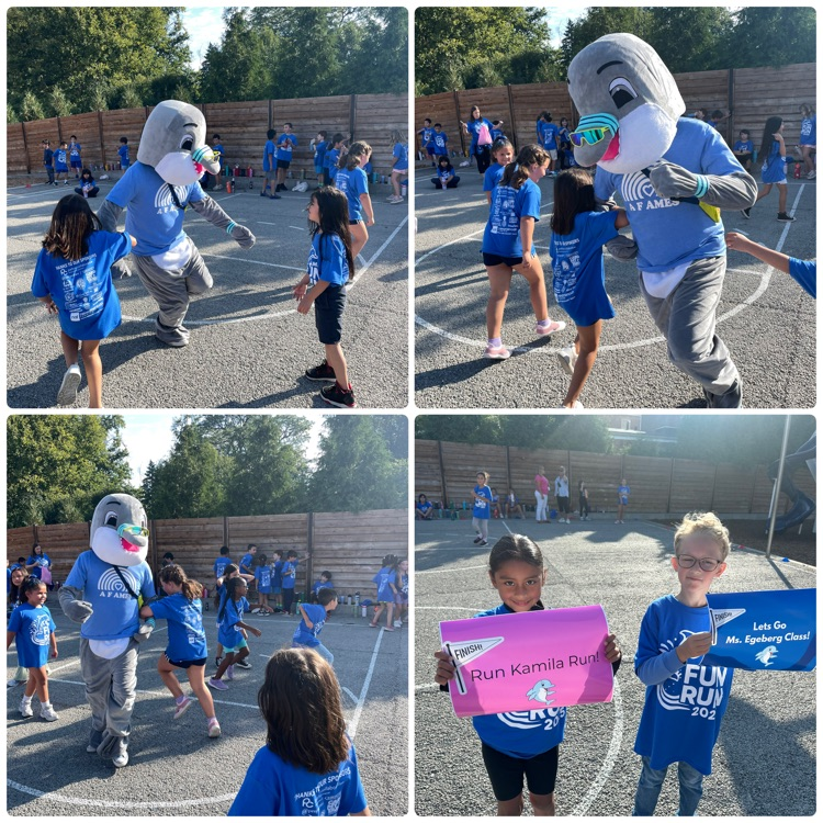 fun run