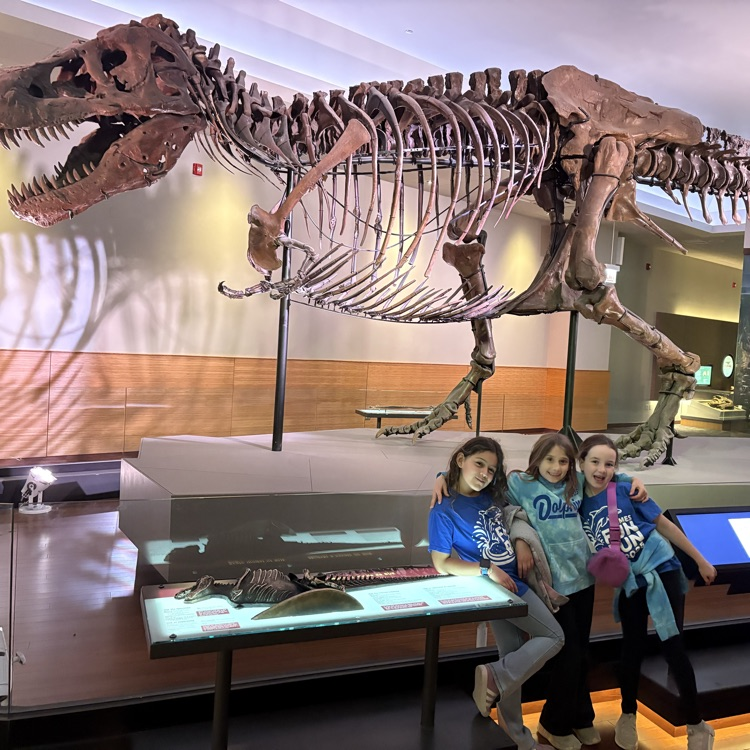 field museum 