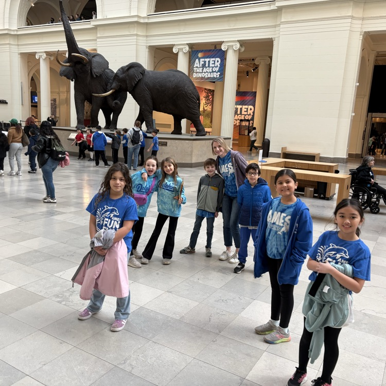 field museum 