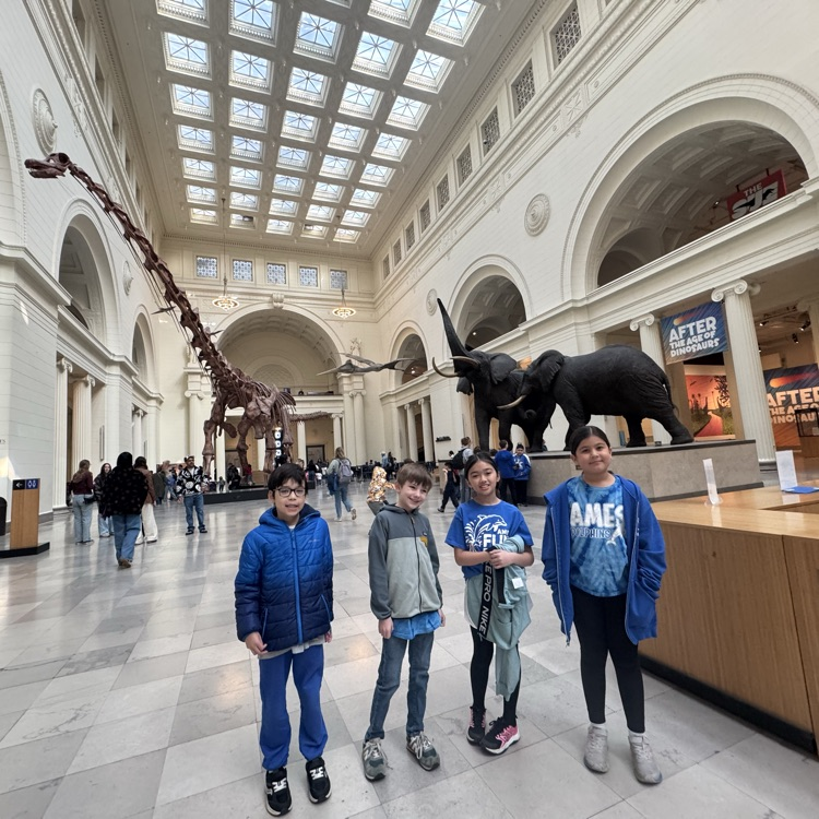 field museum 