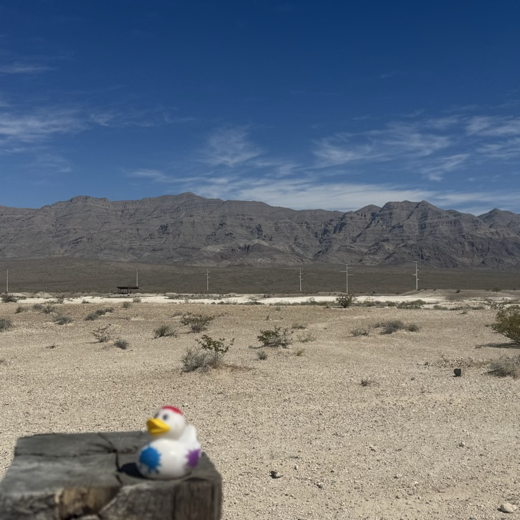 Running the Mt Charleston Marathon Las Vegas Both set PRs but didn’t quality for Boston.