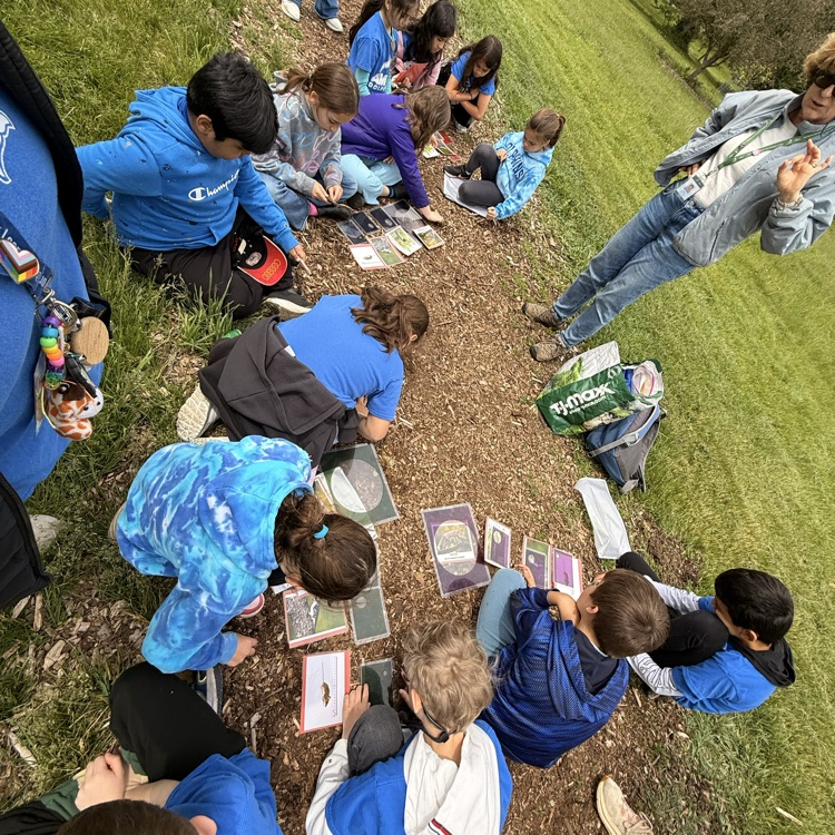 Morton arboretum 