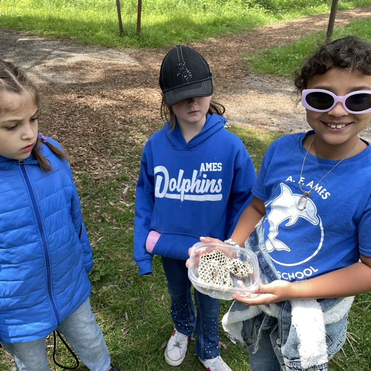 Morton arboretum 