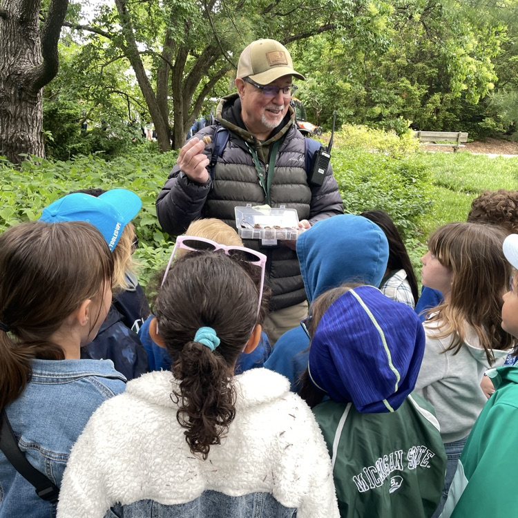 Morton arboretum 