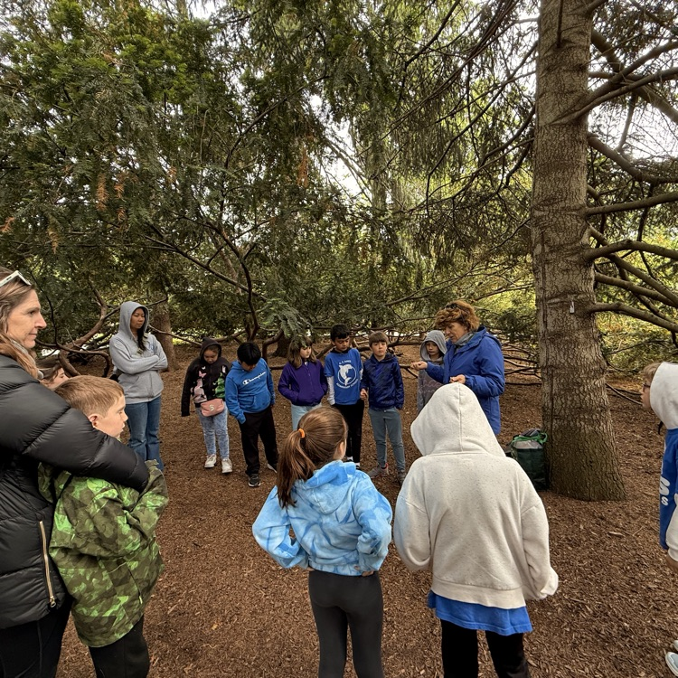 Morton arboretum 