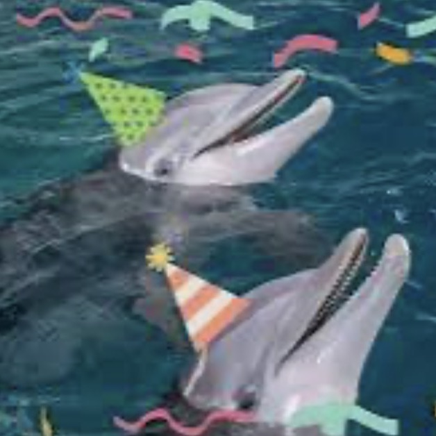birthday 