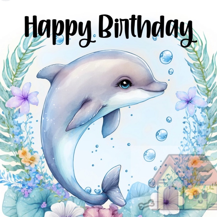 birthday 