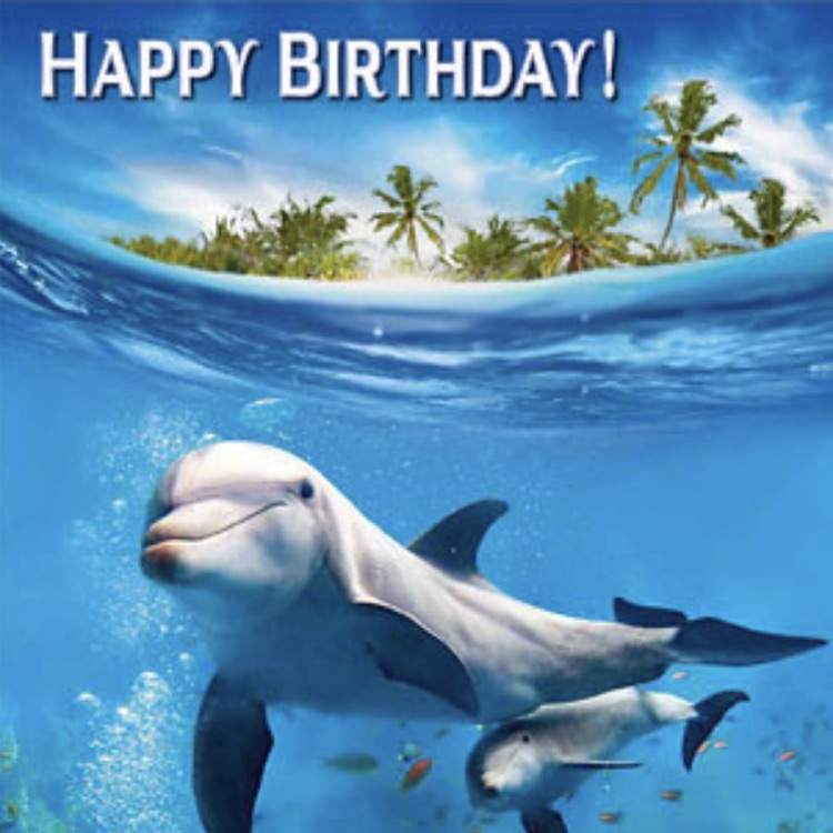 birthday