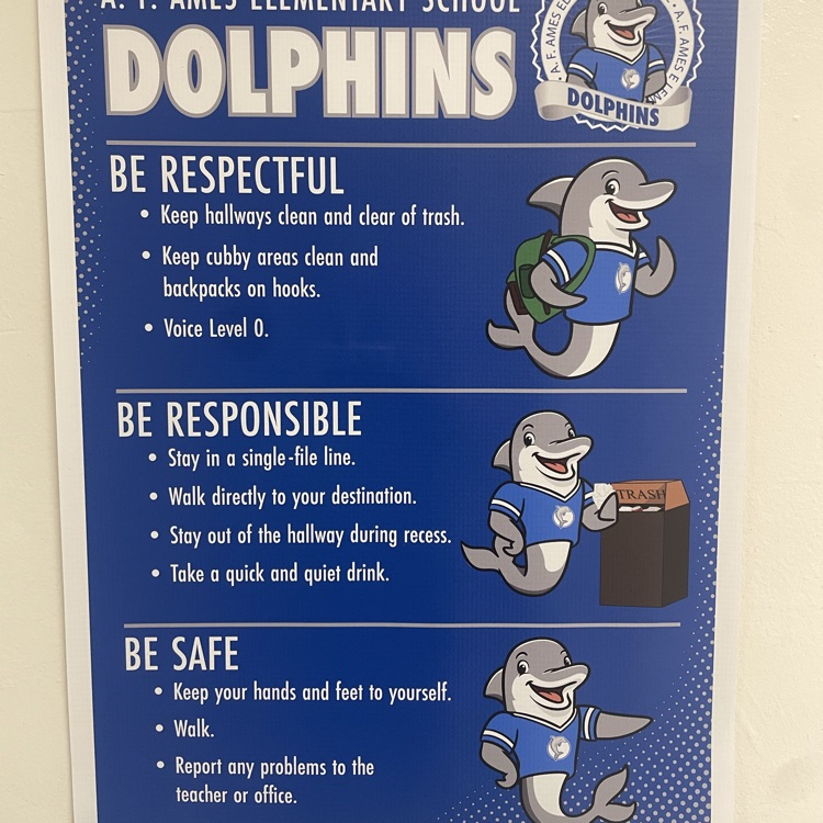 dolphin way 