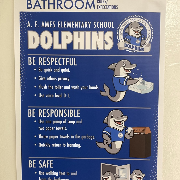 dolphin way 