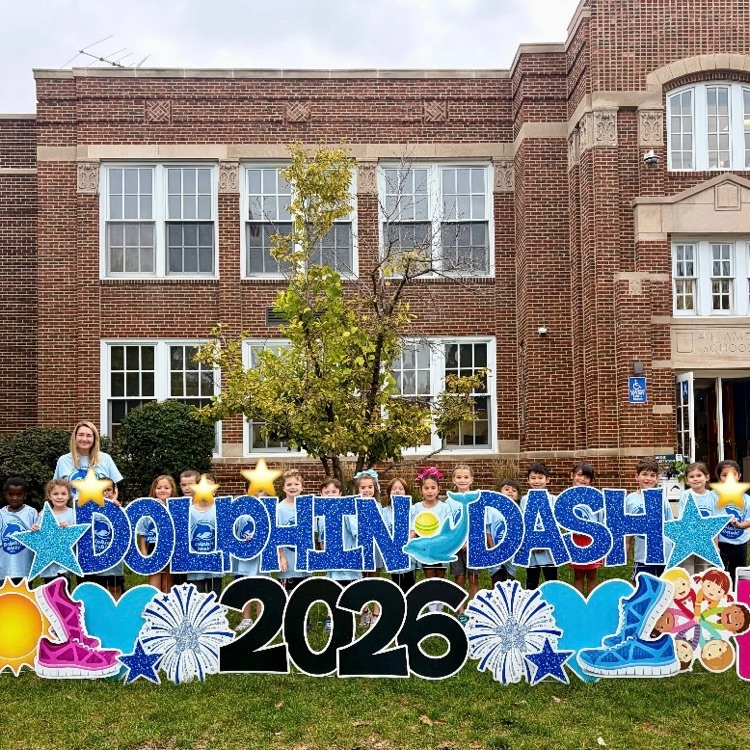 dolphin dash