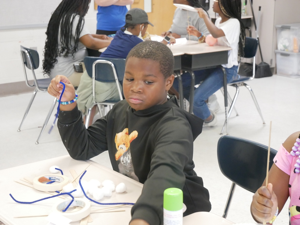SUMMER STEM PROGRAM