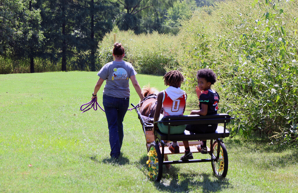 Two boys ride in a buggy pulled by a horse
