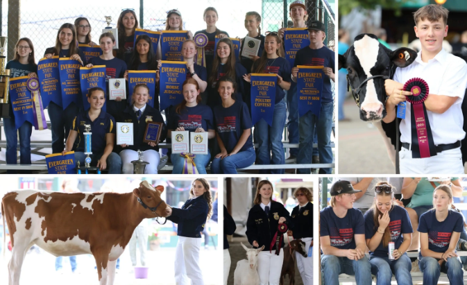 CHSFFA