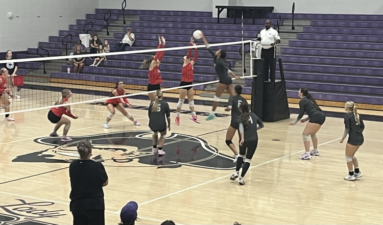 VB