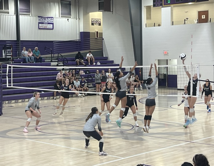 VB