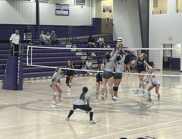 VB