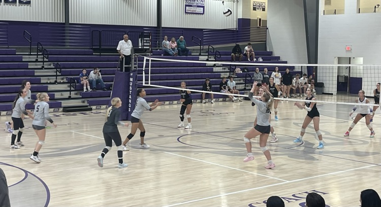 VB