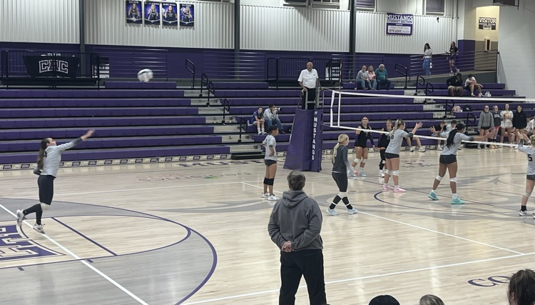 VB
