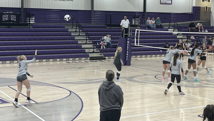 VB