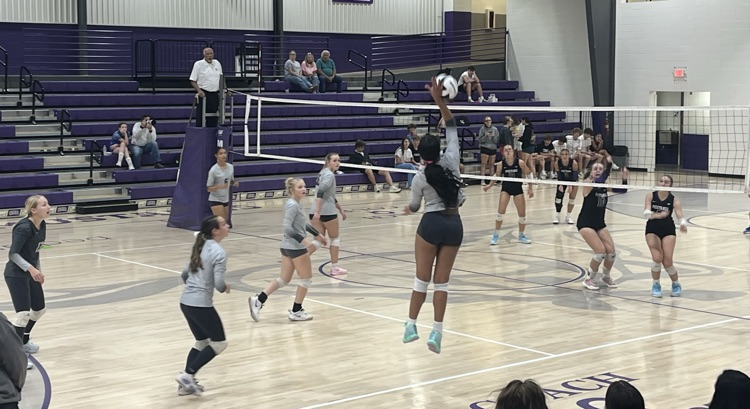 VB