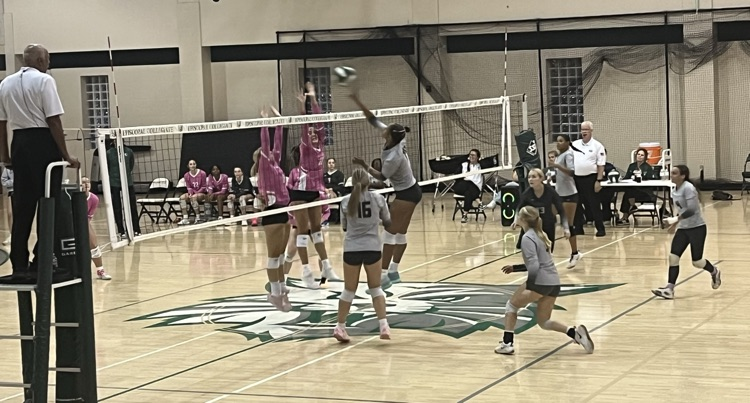 VB