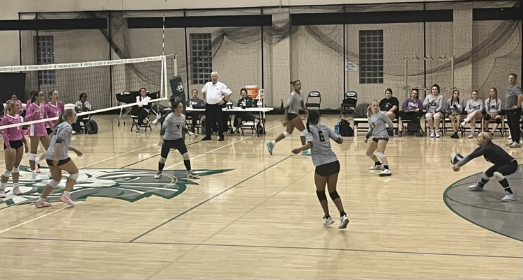 VB