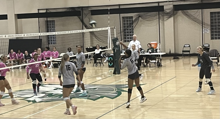 VB