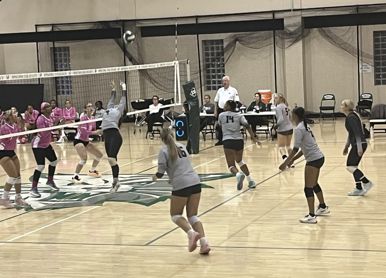 VB