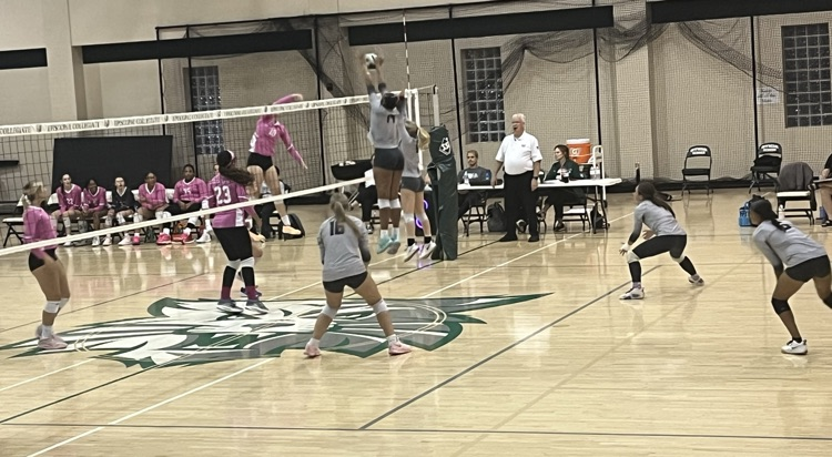 VB