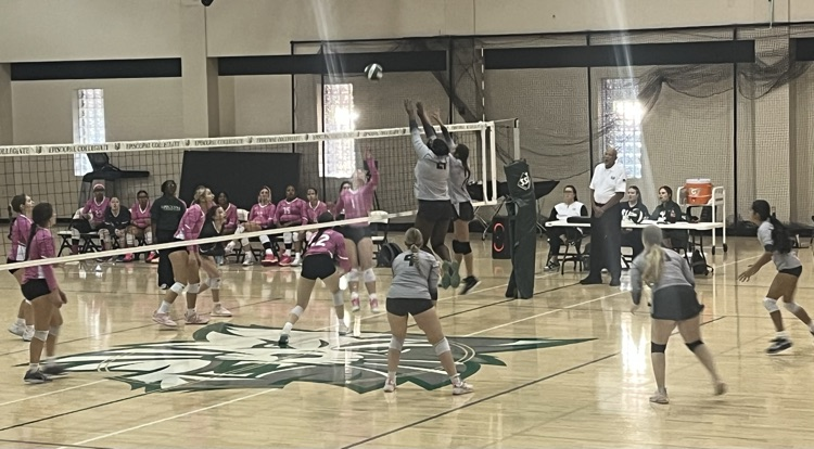 VB