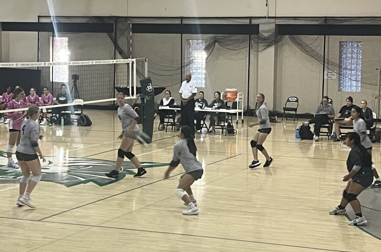 VB