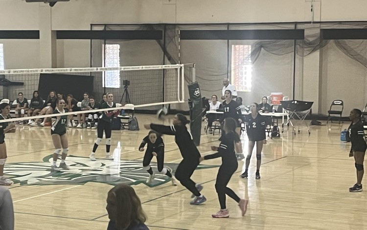 VB