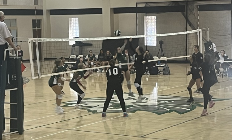 VB