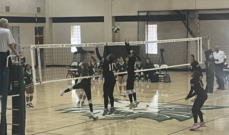 VB